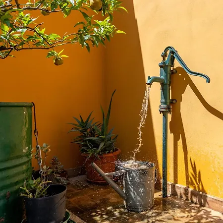 La Casa Di Betta Monte Campano