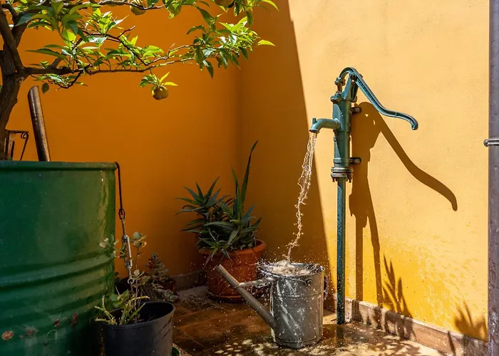 La Casa Di Betta Monte Campano